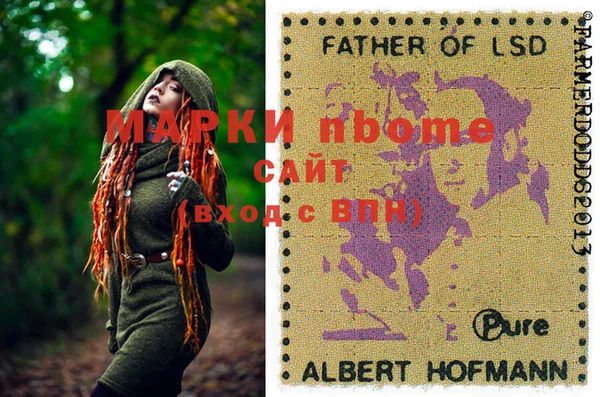 стафф Алзамай