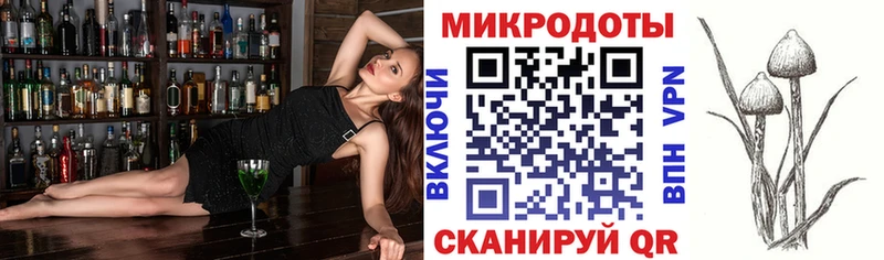 блэк спрут рабочий сайт  Краснослободск  Галлюциногенные грибы MAGIC MUSHROOMS 